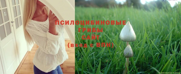 стафф Козловка