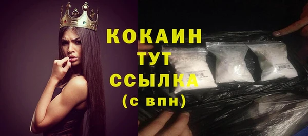 стафф Козловка