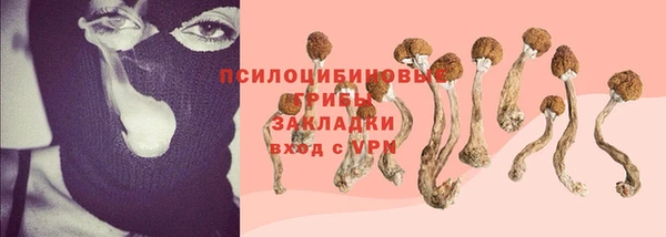 крисы Козельск