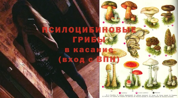 стафф Козловка