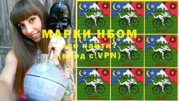 крисы Козельск