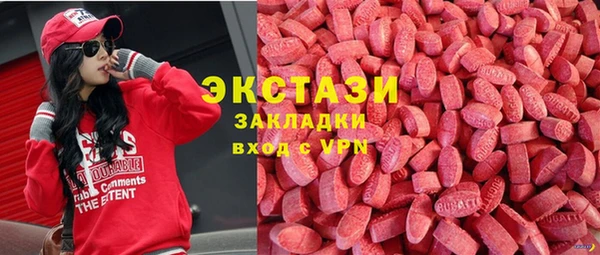 крисы Козельск