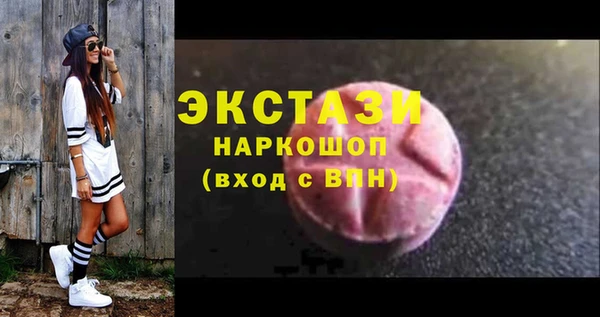 крисы Козельск