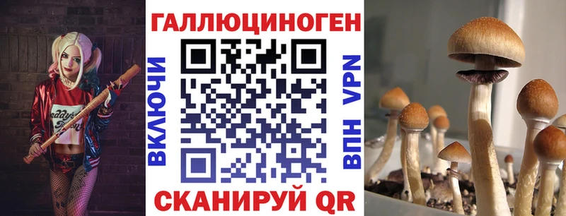 Галлюциногенные грибы мицелий  МЕГА ONION  Туран  как найти закладки 